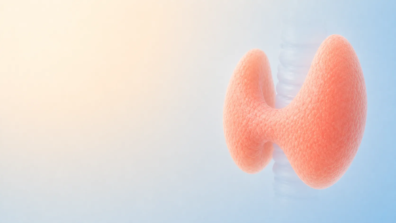 Stylized illustration of a healthy, butterfly-shaped thyroid gland in coral with a smooth, even surface and no visible nodules, set against the trachea in translucent blue.